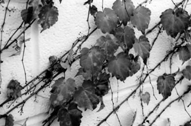 Climbing the Walls